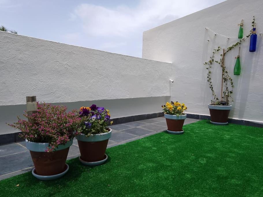 Apartamento Humboldt ,Island Paradise 라오로타바 외부 사진