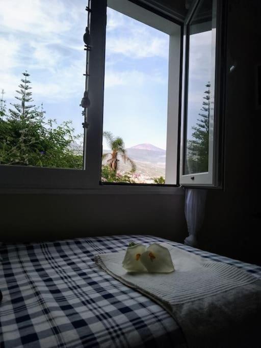 Apartamento Humboldt ,Island Paradise 라오로타바 외부 사진